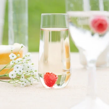 WNA Comet RESSFL10 Reserv 10 oz. Clear Plastic Stemless Flute - 16/Pack