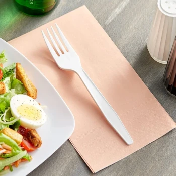 Choice White Heavy Weight Polypropylene Plastic Fork - 1,000/Case