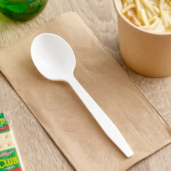 Choice White Heavy Weight Polypropylene Plastic Soup Spoon - 1,000/Case