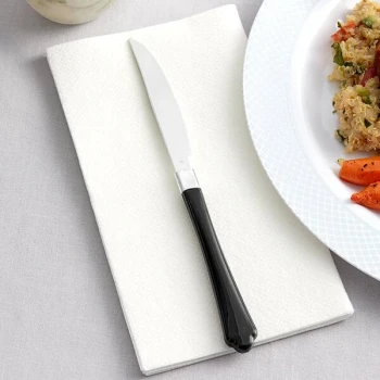 Visions Empire 7 1/2" Silver Extra Heavy Weight Polystyrene Plastic Knife with Black Handle - 480/Case