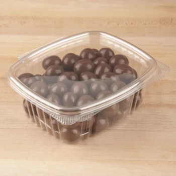 Genpak 12 oz. Clear Hinged Deli Container - 100/Pack