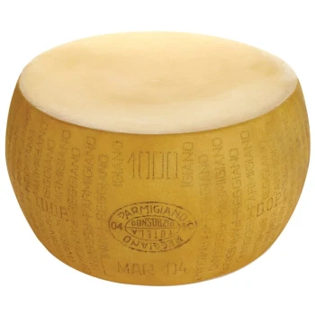 Boska 360052 Parmesan Reggiano Cheese Replica