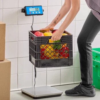 AvaTek RS110LP 110 lb. Low-Profile Digital Receiving Scale with Remote Display