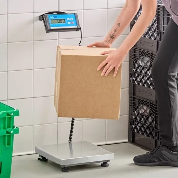 AvaTek RS150 150 lb. Digital Receiving Scale with Remote Display