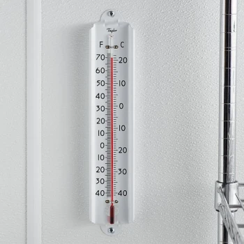 Taylor 1106J 12" Cold / Dry Storage Wall Thermometer