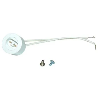 AllPoints 381541 Lamp Holder with Wire Leads