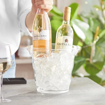 Choice 4 Qt. 2-Bottle Clear Plastic Wine Bucket