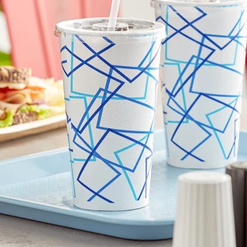 Choice 20 oz. Poly Paper Cold Cup - 1,000/Case
