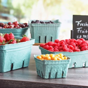 1 Pint Green Molded Pulp Berry / Produce Basket - 25/Pack