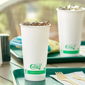 EcoChoice 20 oz. Compostable PLA Paper Cold Cup - 1,000/Case