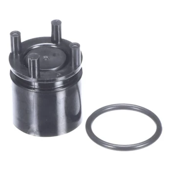 Rinnai 107000134 Check Valve, Rur98I/E (2)