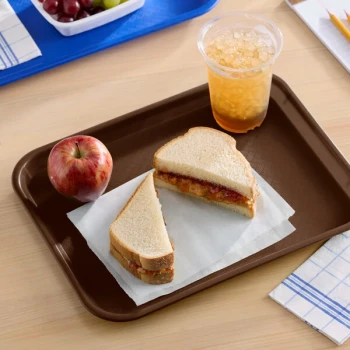 Choice 10" x 14" Chocolate Brown Plastic Fast Food Tray - 12/Pack