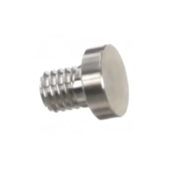Bizerba 000000038028810000 Bolt