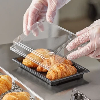 Choice 5" x 7 1/2" Large Food Container with Lid - 300/Case