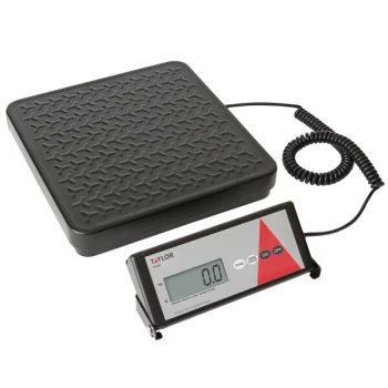 Taylor TE400 400 lb. Digital Receiving Scale with Remote Display
