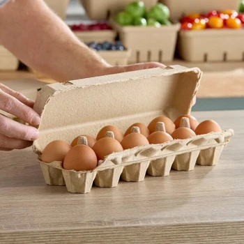 Choice Pulp One Dozen Egg Carton - 240/Case