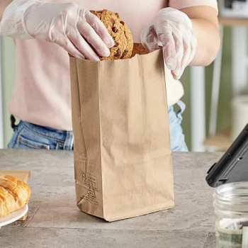 Duro 4 lb. Natural Kraft Paper Bag - 500/Bundle